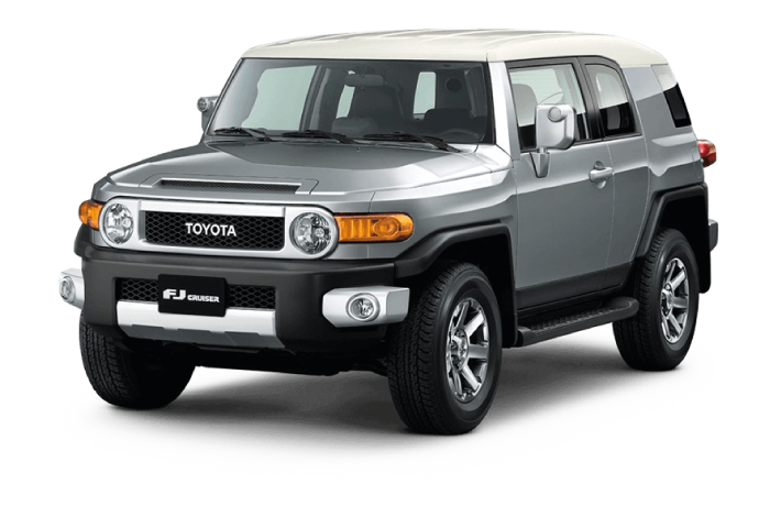 FJ CRUISER